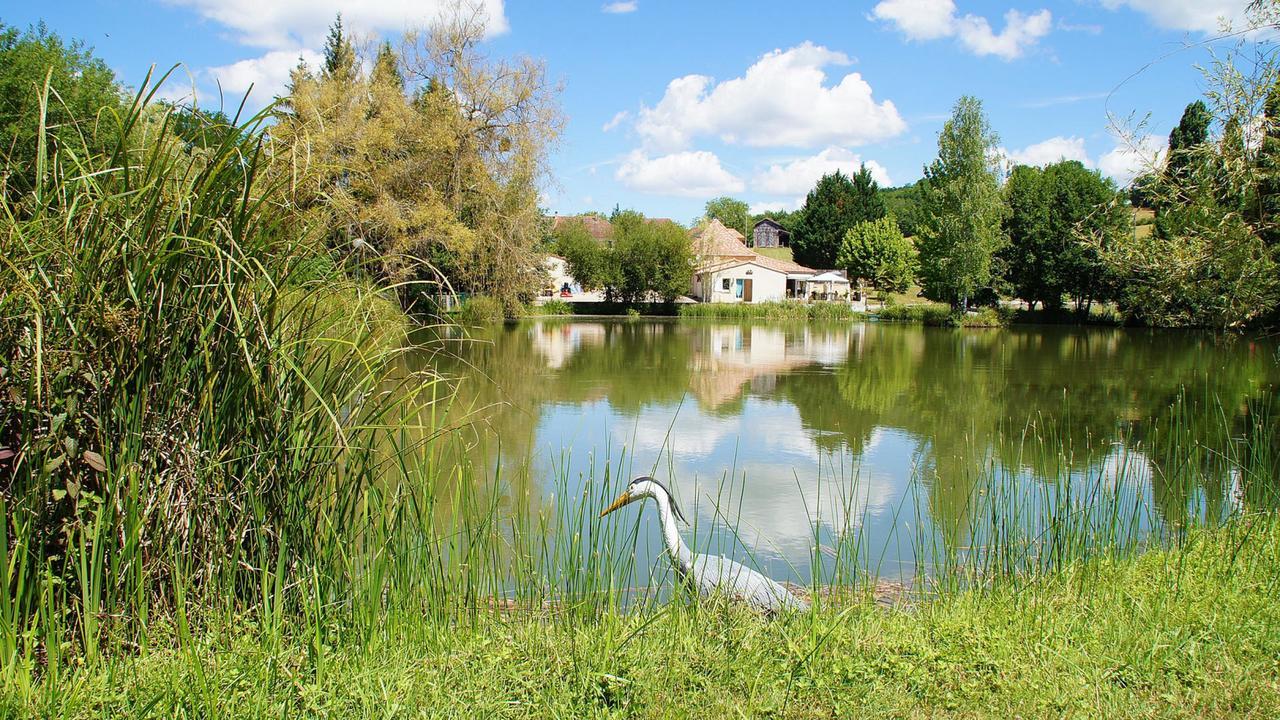 Le Domaine de L'étang de Sandanet Issac Exterior foto